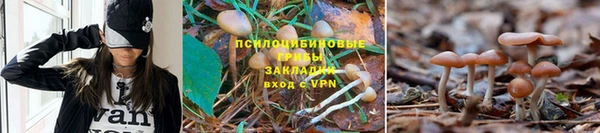 jwh Гусь-Хрустальный