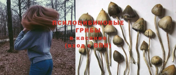 прущая мука Усмань