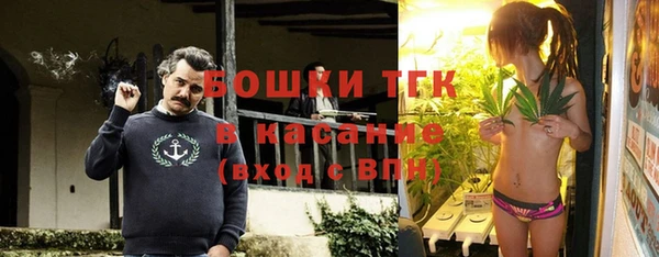 стаф Волосово