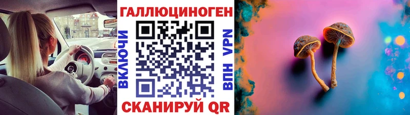 цена   мега зеркало  Псилоцибиновые грибы MAGIC MUSHROOMS  Вышний Волочёк 